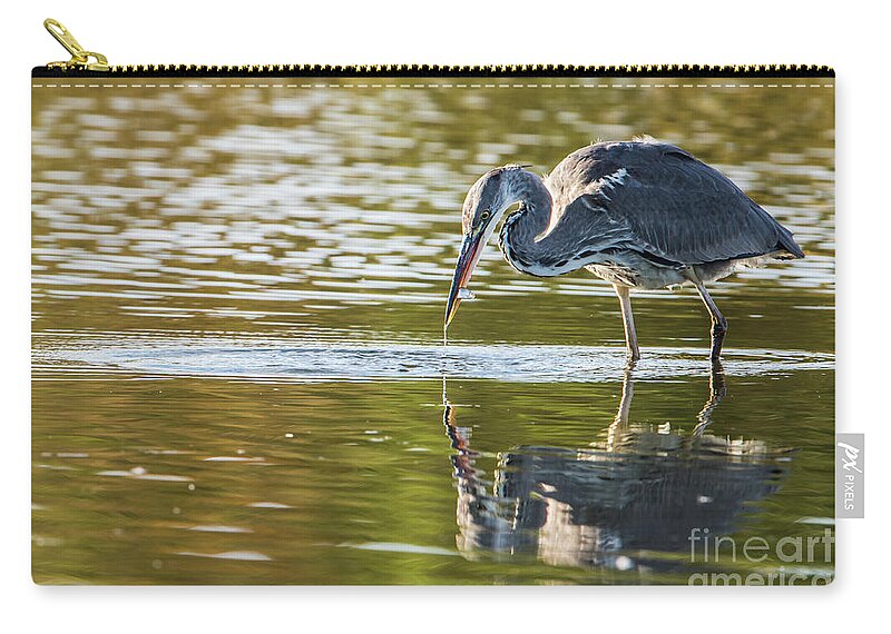 Grey Heron Carry-all Pouch featuring the photograph Grey Herons Catch by Torbjorn Swenelius