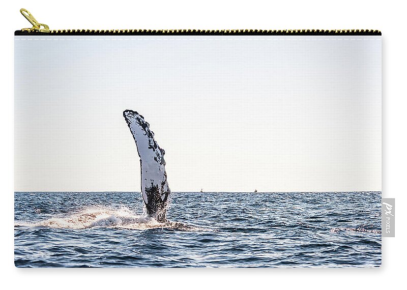 Grey Whale Zip Pouch featuring the photograph Grey Whale Fin Gulf of Mexico by Charles McCleanon