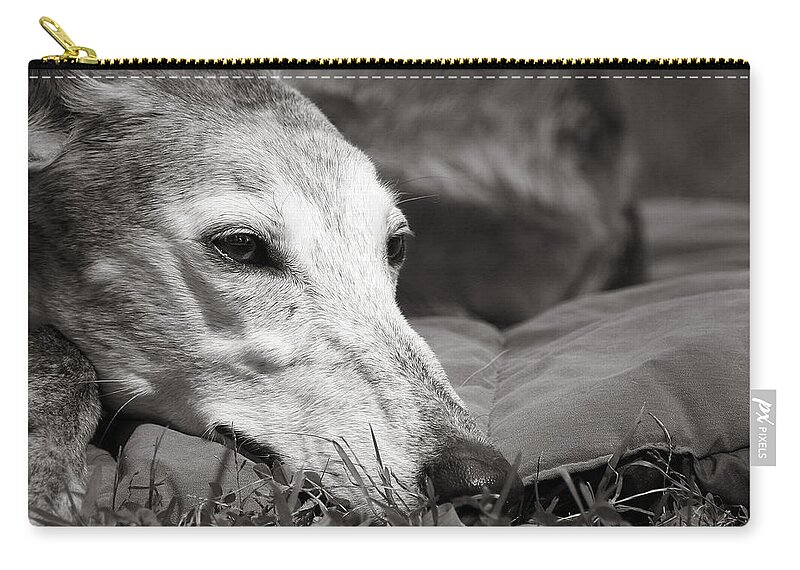 Editorial Zip Pouch featuring the photograph Greyful by Angela Rath