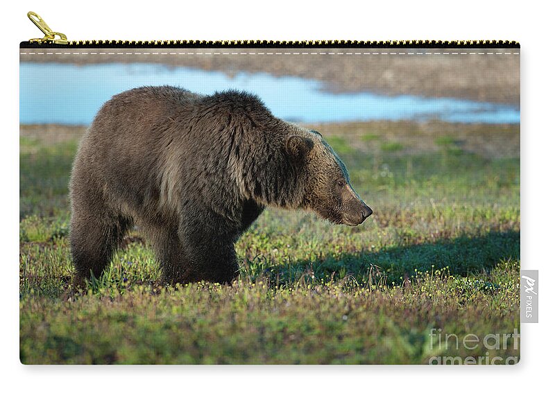 Bear Zip Pouch featuring the photograph Grizzly at Yellowstone Lake by Sandra Bronstein