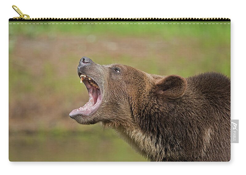 Grizzly Zip Pouch featuring the photograph Grizzly Bear Growl by Jack Nevitt