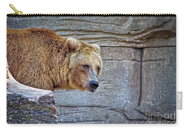 Bear Zip Pouch featuring the photograph Grizzly Bear by Ms Judi