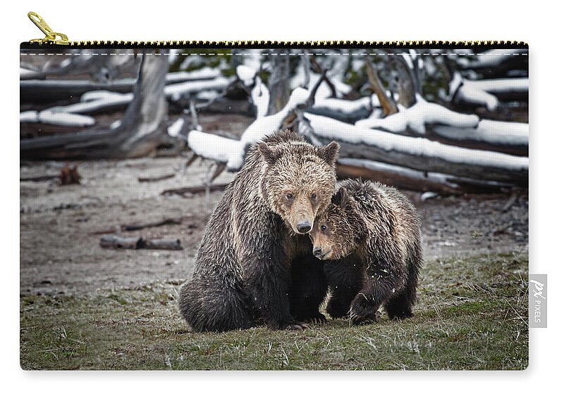Bears Zip Pouch featuring the photograph Grizzly Cub Cuddling with Mother by Scott Read