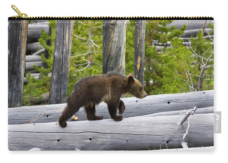 Nature Zip Pouch featuring the photograph Grizzly Cub by Mark Miller