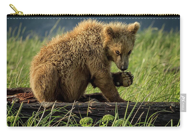 Grizzly Zip Pouch featuring the photograph Grizzly Cub near river's edge by Steven Upton