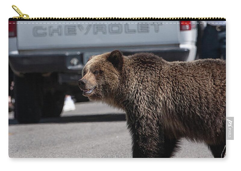 Grizzly Zip Pouch featuring the photograph Grizzly in Yellowstone by Mark Miller
