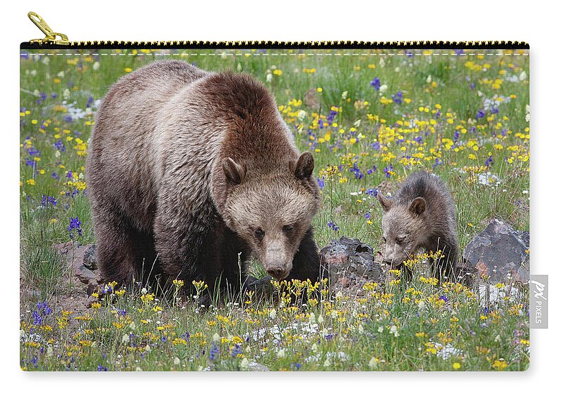 Mark Miller Photos Zip Pouch featuring the photograph Grizzly Sow and Cub in Summer Flowers by Mark Miller
