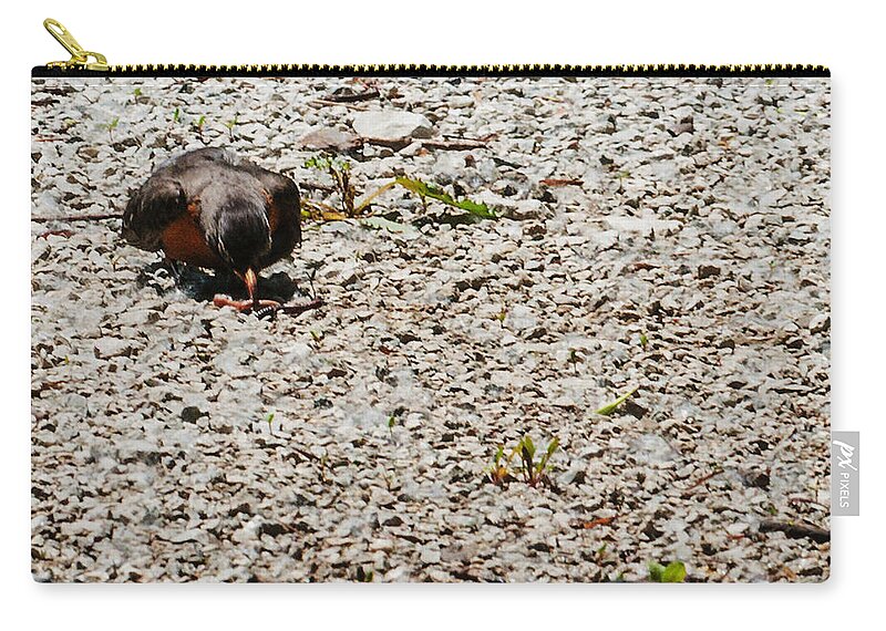 Heron Heaven Zip Pouch featuring the photograph Grocery Shopping by Ed Peterson
