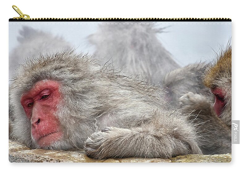 Snow Monkey Zip Pouch featuring the photograph Grooming by Kuni Photography