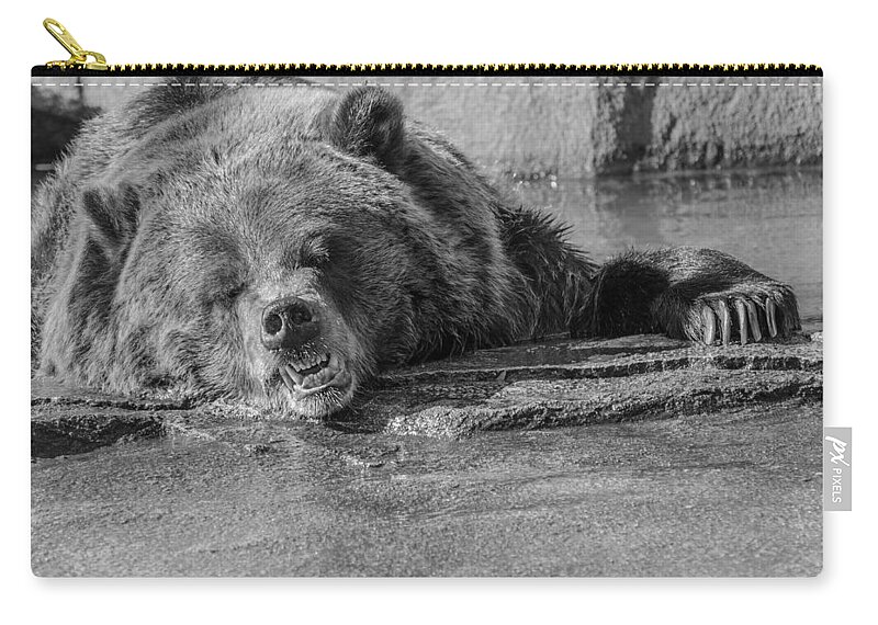 Grouchy Bear Zip Pouch featuring the photograph Grouchy Bear - Black and White by Susan McMenamin