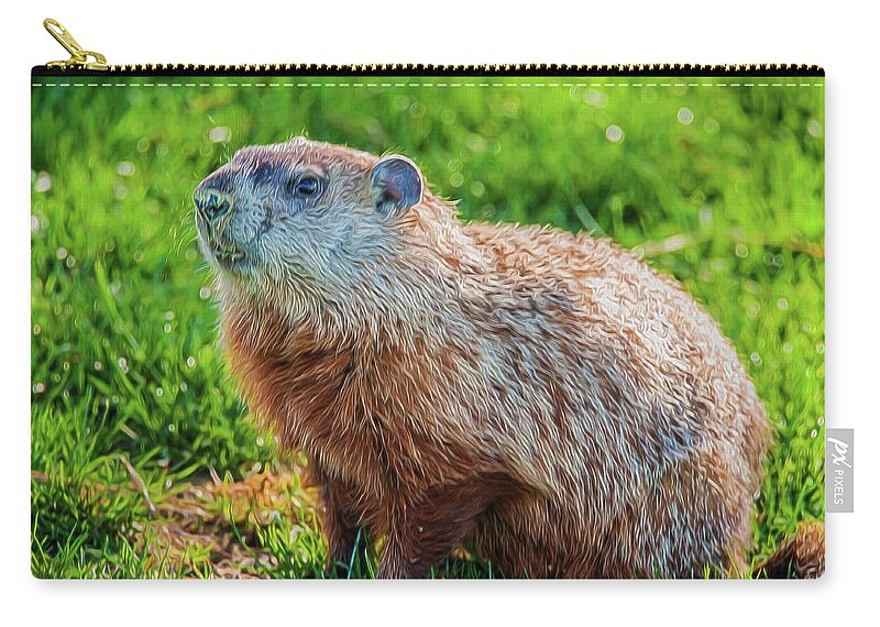 Rodent Carry-all Pouch featuring the photograph Ground Hog Portrait by Cathy Kovarik