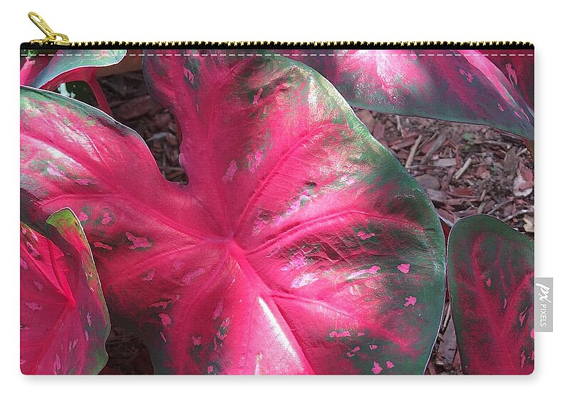 Plants Zip Pouch featuring the photograph Grounded 2 by Pamela Henry