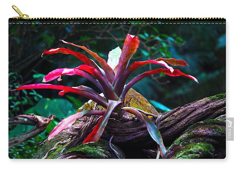 Fine Art Photography Zip Pouch featuring the photograph Grow Where You're Planted by Patricia Griffin Brett