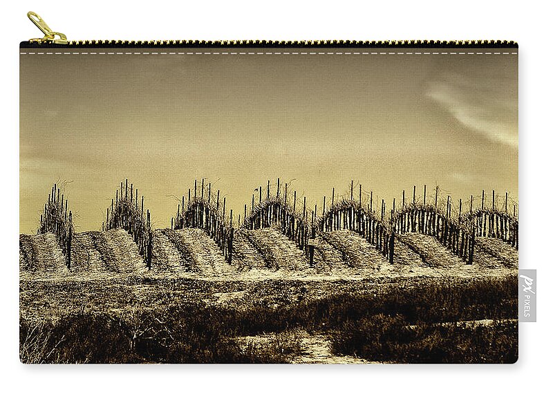 Grapes Zip Pouch featuring the photograph Growing Grapes in Temecula by Joseph Hollingsworth