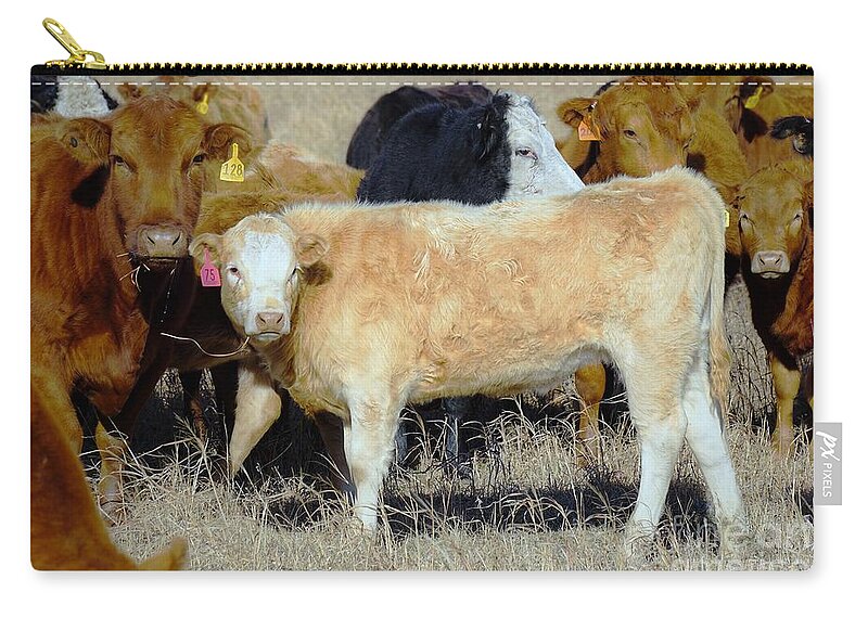 Calf Zip Pouch featuring the photograph Growing up by Merle Grenz