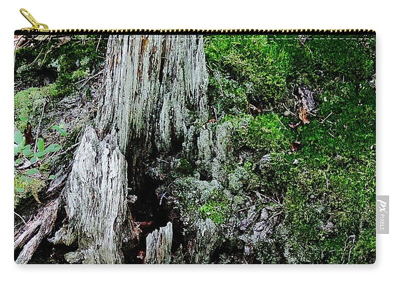 Stump Zip Pouch featuring the photograph Growth and Decay by Allen Nice-Webb