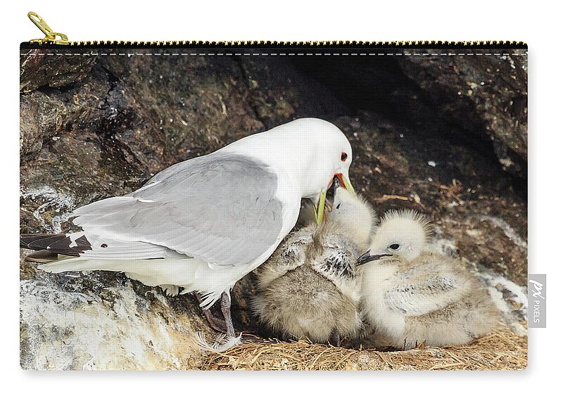 Alaska Zip Pouch featuring the photograph Gull Chicks Being Fed by Joni Eskridge
