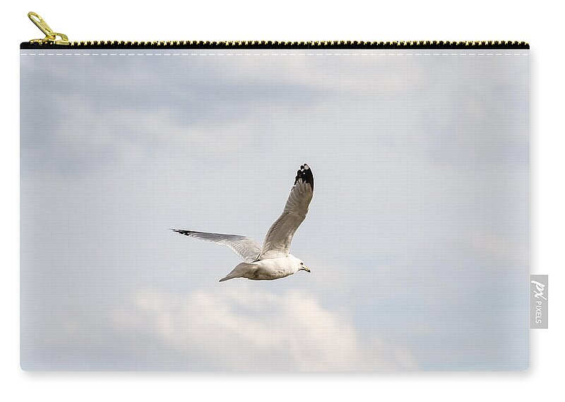 Gull Carry-all Pouch featuring the photograph Gull in Flight by Holden The Moment
