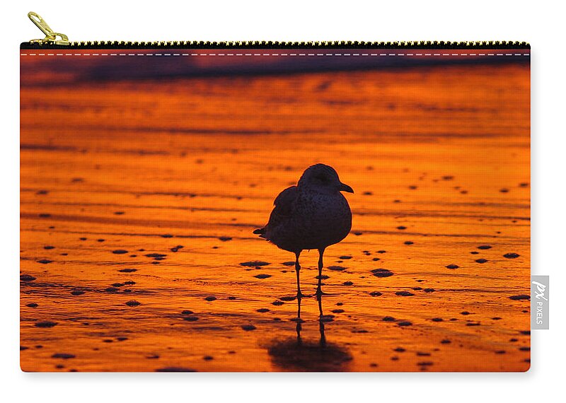 Great Zip Pouch featuring the photograph Gull caught at sunrise by Allan Levin