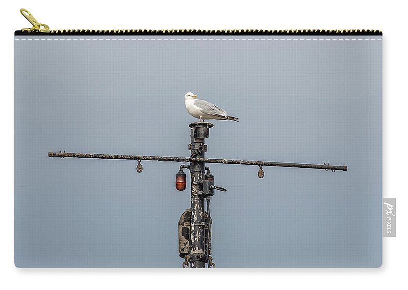 Gull Zip Pouch featuring the photograph Gull on A Mast by Paul Freidlund