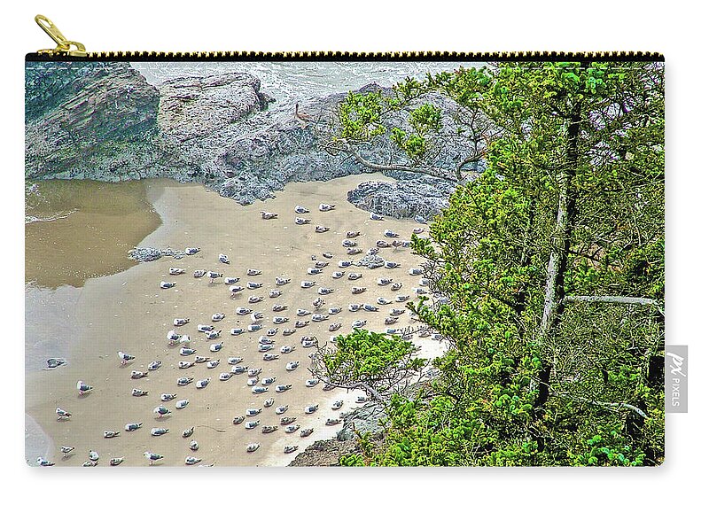 Gulls On The Sand Below In Ecola State Park Zip Pouch featuring the photograph Gulls on the Sand Below in Ecola State Park, Oregon by Ruth Hager