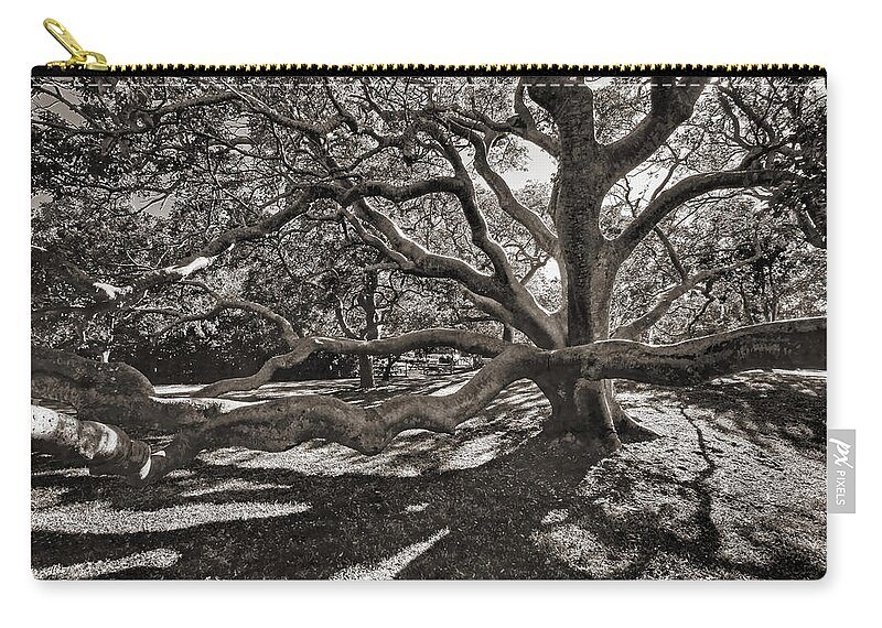 Trees Zip Pouch featuring the photograph Gumbo Limbo by HH Photography of Florida