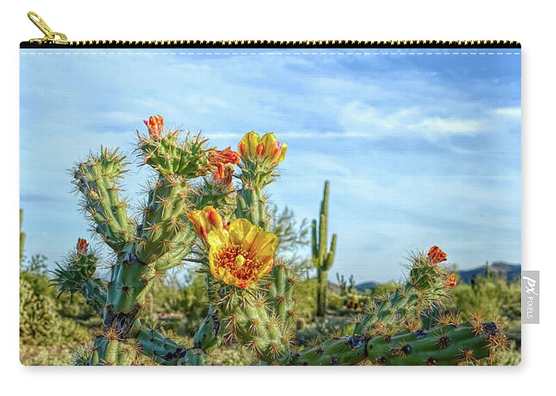 Cactus Zip Pouch featuring the photograph H D R Desert Bloom by Aimee L Maher ALM GALLERY