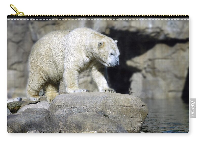 Memphis Zoo Zip Pouch featuring the photograph Habitat - Memphis Zoo by DArcy Evans