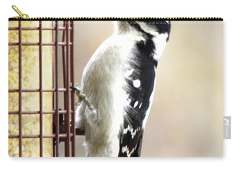 Hairy Woodpecker Zip Pouch featuring the photograph Hairy Woodpecker by Cindy Schneider
