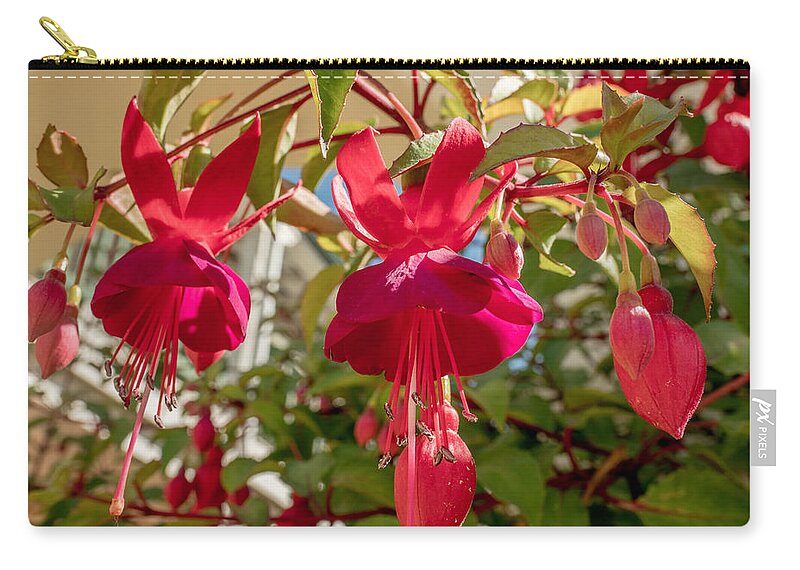 Flower Carry-all Pouch featuring the photograph Hanging Around by Derek Dean