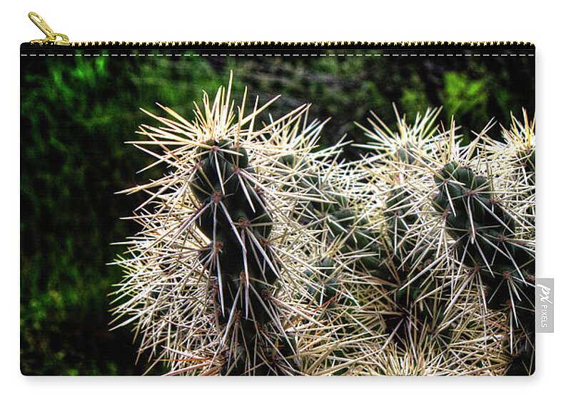 Arizona Zip Pouch featuring the photograph Hanging Fruit Cholla Detail by Roger Passman