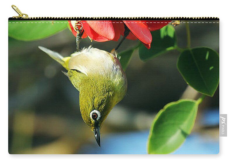 Hanging Japanese Zip Pouch featuring the photograph Hanging Japanese by Jennifer Robin