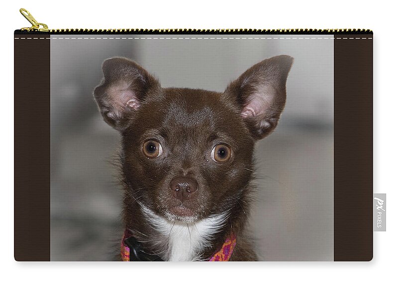 Dog Zip Pouch featuring the photograph Hannah 3 by Richard Goldman