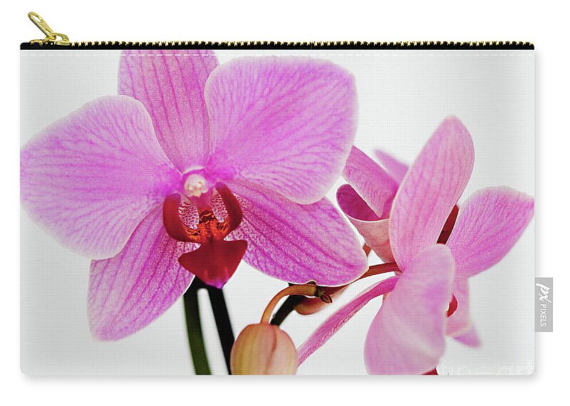 Orchid Zip Pouch featuring the photograph Happiness and Carfree by Sherry Hallemeier