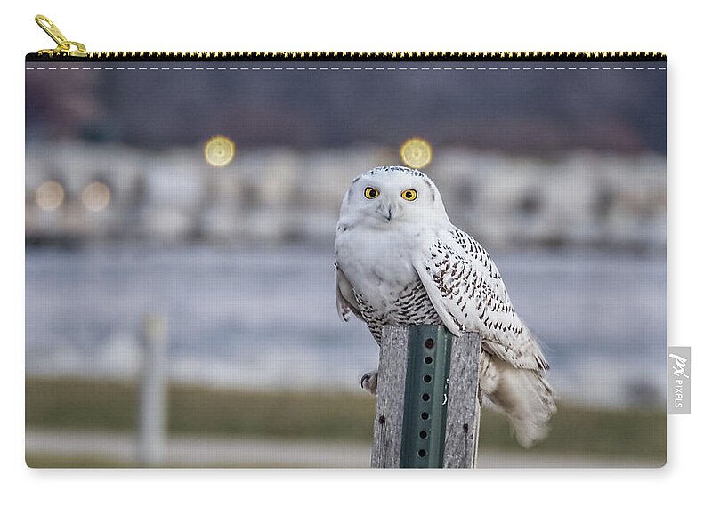 Snowy Owl Zip Pouch featuring the photograph Happy Accident by Kristine Hinrichs