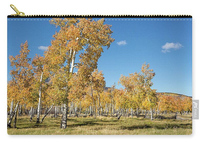 Aspens Carry-all Pouch featuring the photograph Happy Aspen Grove by Denise Bush