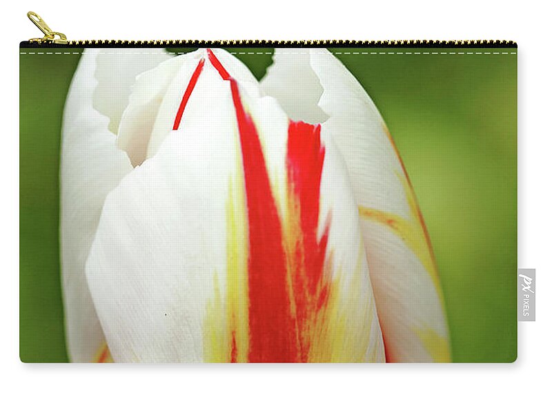 Tulips Zip Pouch featuring the photograph Happy Generation Tulip by Debbie Oppermann