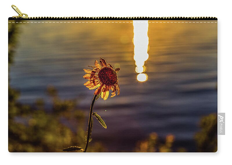 Flower Zip Pouch featuring the photograph Happy Sunday by Joe Holley