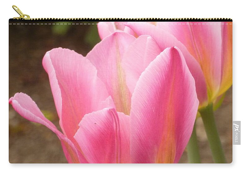 Pink Zip Pouch featuring the photograph Happy Together by Lingfai Leung