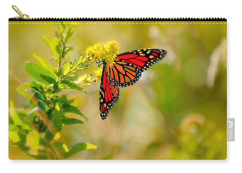 Happy Wings Zip Pouch featuring the photograph Happy Wings by Diana Angstadt