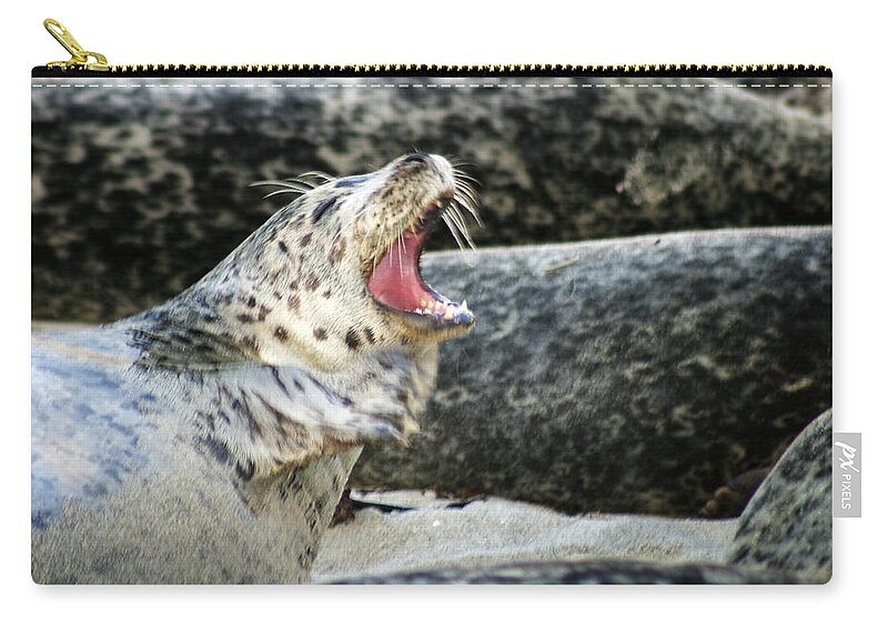 Harbor Seal Zip Pouch featuring the photograph Harbor Seal by Anthony Jones