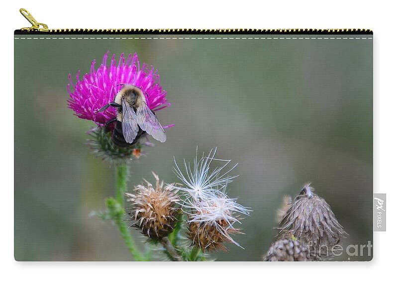 Thistle Zip Pouch featuring the photograph Harmony by Cindy Manero