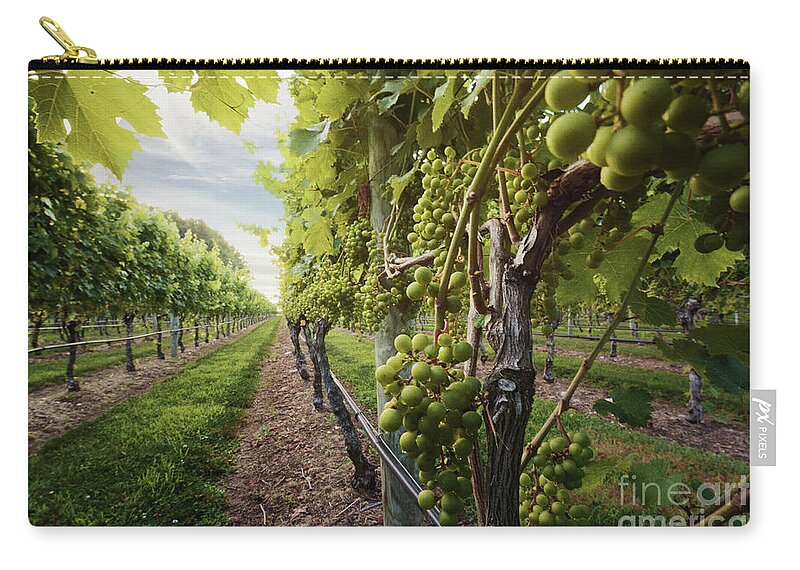 Long Island Zip Pouch featuring the photograph Harmony Vineyard Stony Brook New York by Alissa Beth Photography