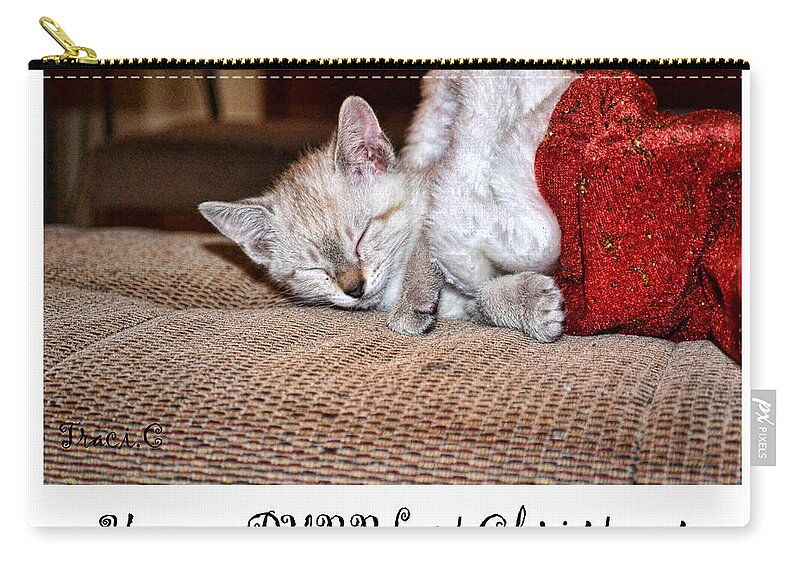 Christmas Zip Pouch featuring the photograph Have a Purrfect Christmas by Traci Cottingham