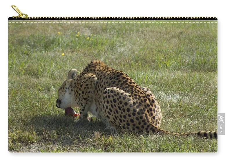 Cheetah Zip Pouch featuring the photograph Having Lunch by David Yocum