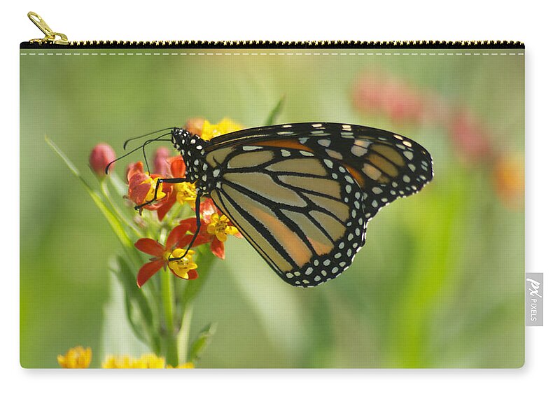 Wildlife Zip Pouch featuring the photograph Hawaiian Monarch 1 by Michael Peychich