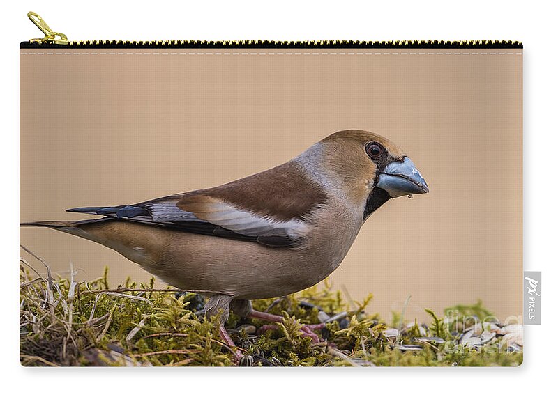 Hawfinch's Beak Carry-all Pouch featuring the photograph Hawfinch's beak by Torbjorn Swenelius