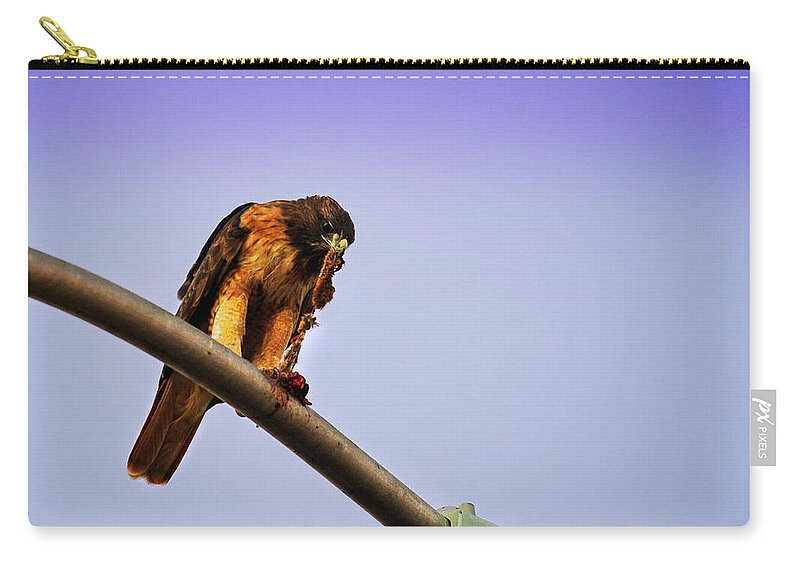 Hawk Zip Pouch featuring the photograph Hawk Eating by Anthony Jones
