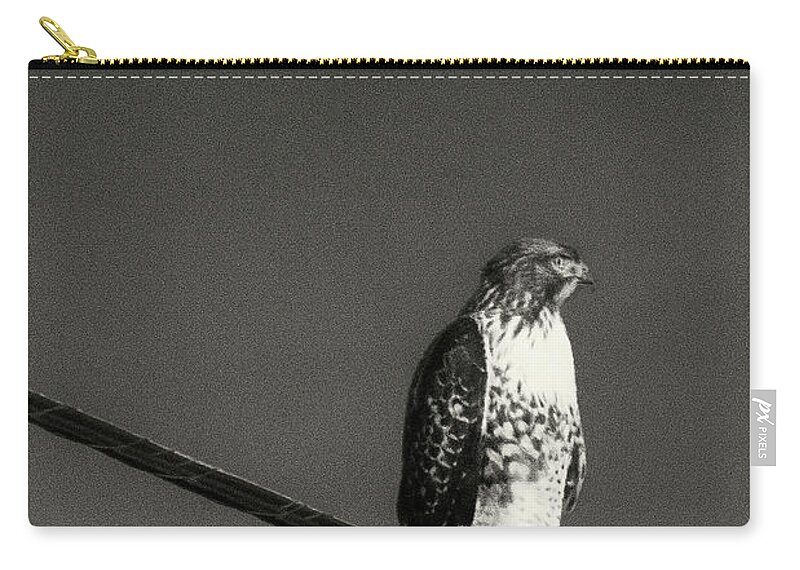Hawk Zip Pouch featuring the photograph Hawk In the Moon by Bill Roberts