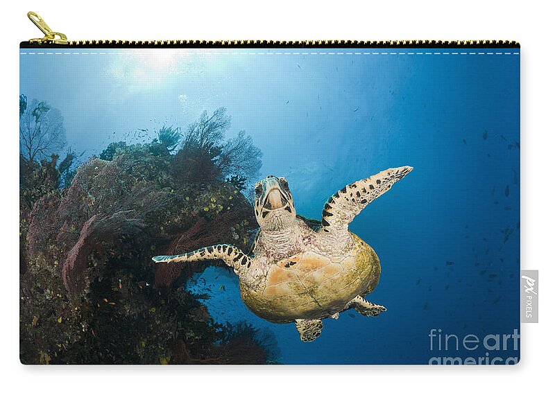 Hawksbill Zip Pouch featuring the photograph Hawksbill Turtle by Reinhard Dirscherl